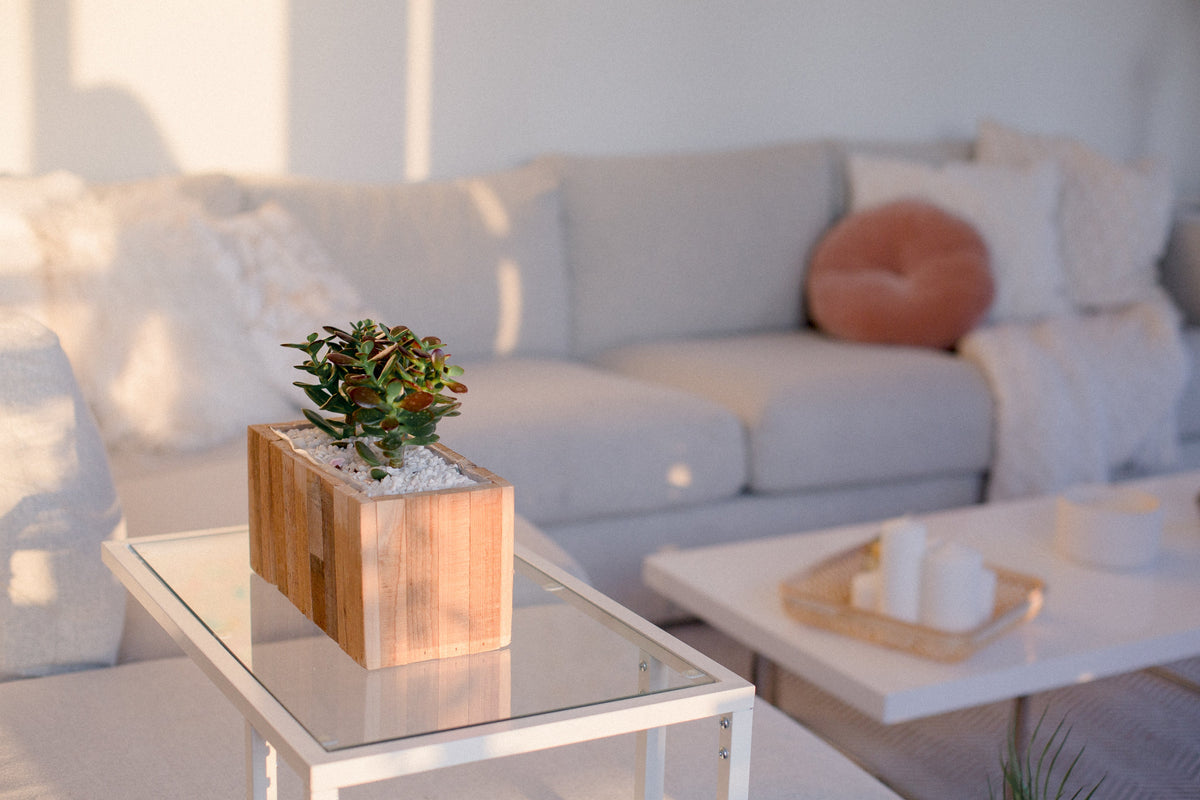 Spring Ideas & Trends